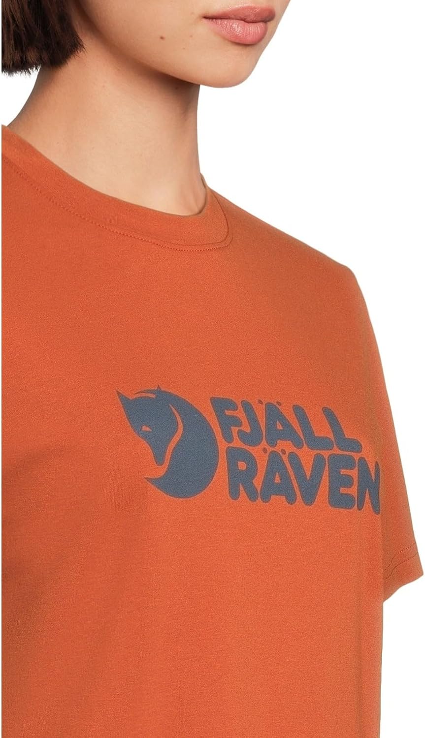 Fjällräven Men's 1960 Logo T-Shirt Terracotta Brown
